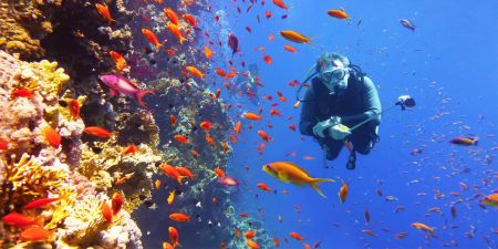 Wreck Diving Trip to SS Thistlegorm